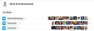 Example of Skills & Endorsements Section on LinkedIn.
